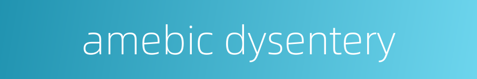 amebic dysentery的同义词
