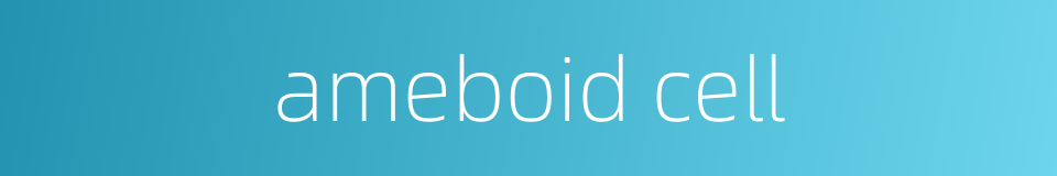 ameboid cell的同义词