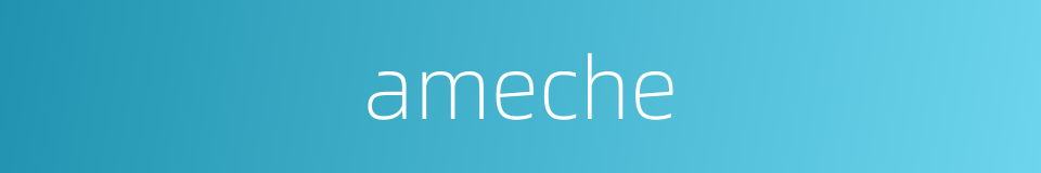 ameche的同义词