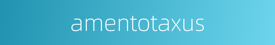 amentotaxus的同义词