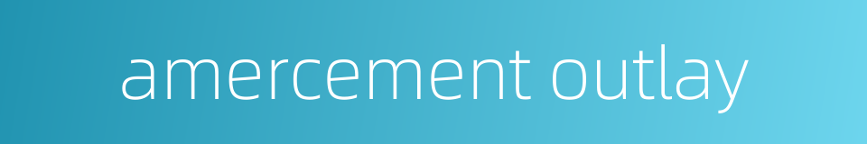 amercement outlay的同义词