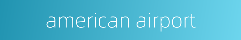american airport的同义词