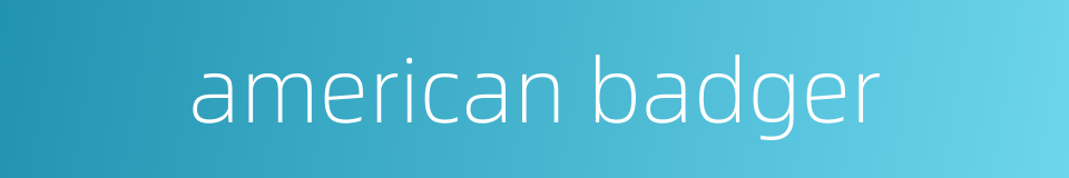 american badger的同义词