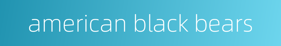 american black bears的同义词