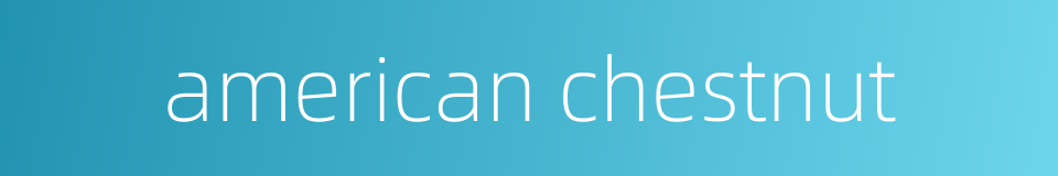 american chestnut的同义词