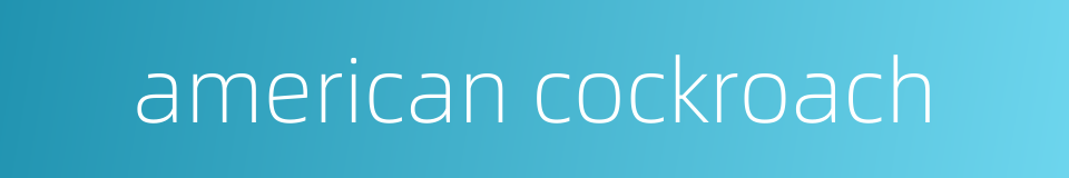 american cockroach的同义词