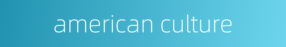american culture的同义词