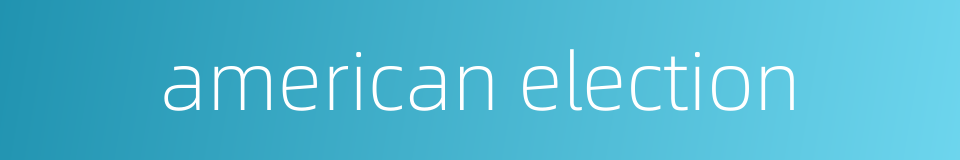 american election的同义词