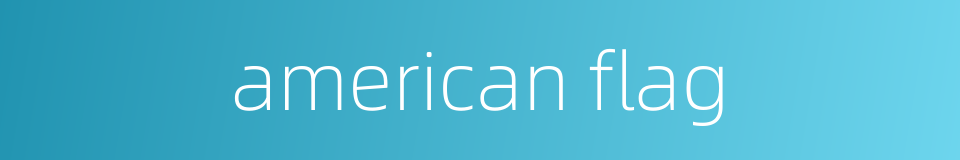 american flag的同义词