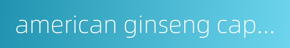 american ginseng capsule的同义词