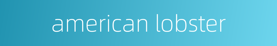 american lobster的同义词