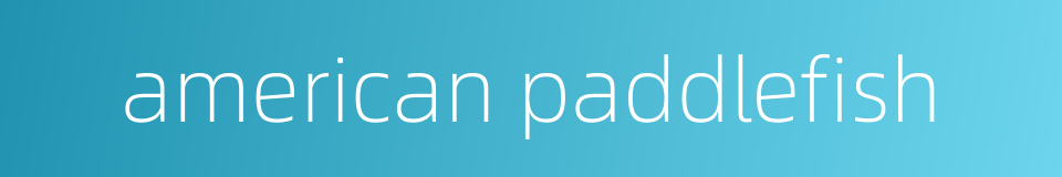 american paddlefish的同义词