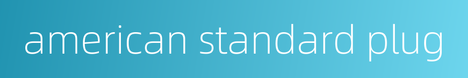 american standard plug的同义词