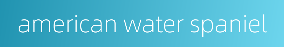 american water spaniel的同义词