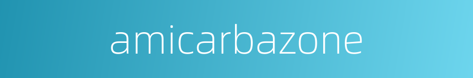 amicarbazone的同义词