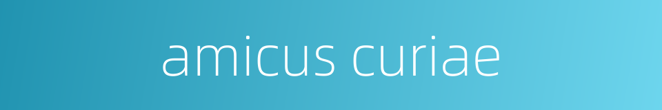 amicus curiae的同义词