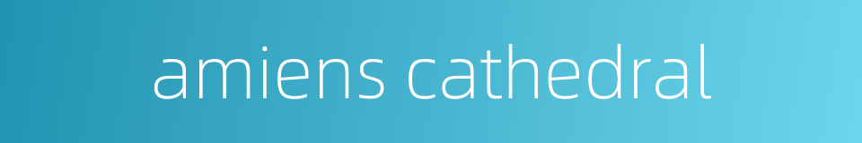 amiens cathedral的同义词