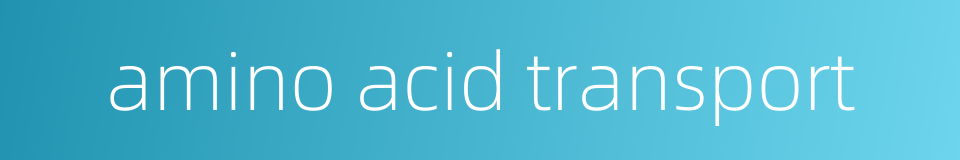 amino acid transport的同义词