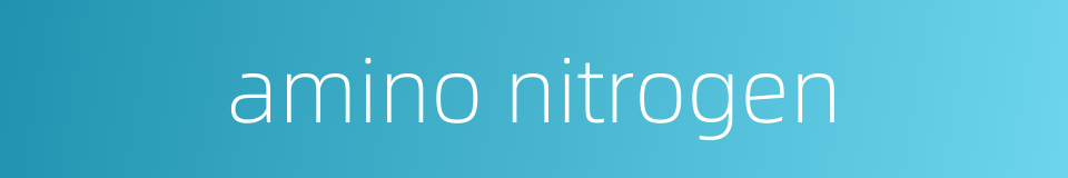 amino nitrogen的同义词