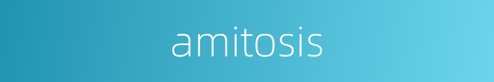 amitosis的同义词