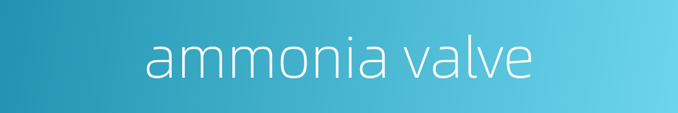 ammonia valve的同义词