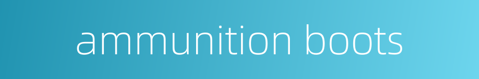 ammunition boots的同义词