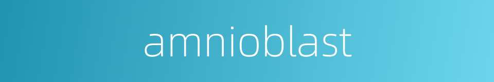 amnioblast的同义词
