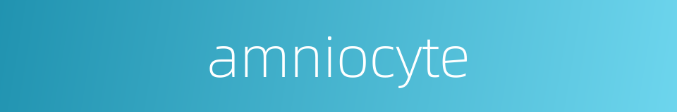 amniocyte的同义词