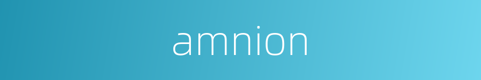 amnion的同义词