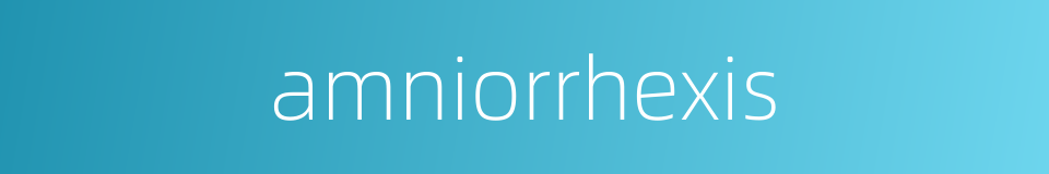 amniorrhexis的同义词