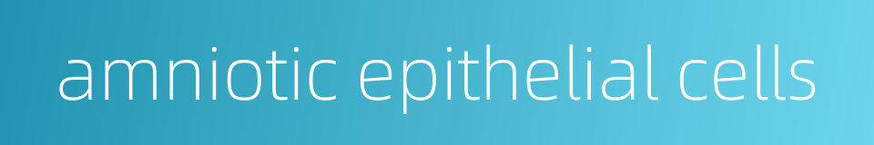 amniotic epithelial cells的同义词