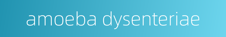 amoeba dysenteriae的同义词