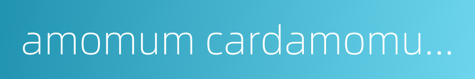 amomum cardamomum的同义词