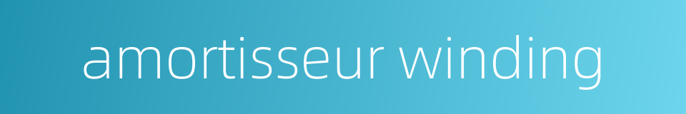 amortisseur winding的同义词