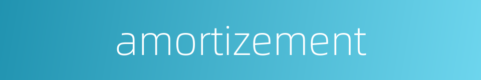amortizement的同义词
