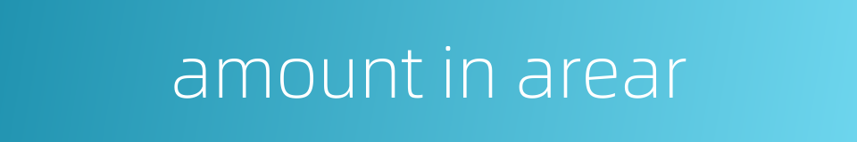 amount in arear的同义词