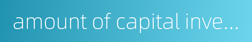 amount of capital invested的同义词