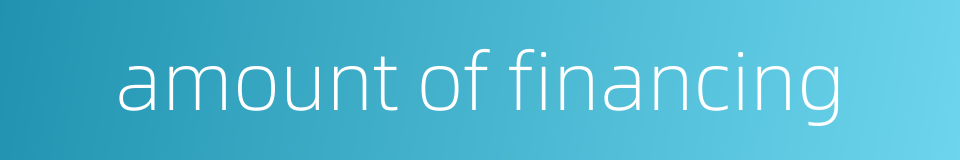 amount of financing的同义词