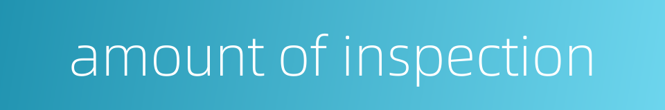 amount of inspection的同义词