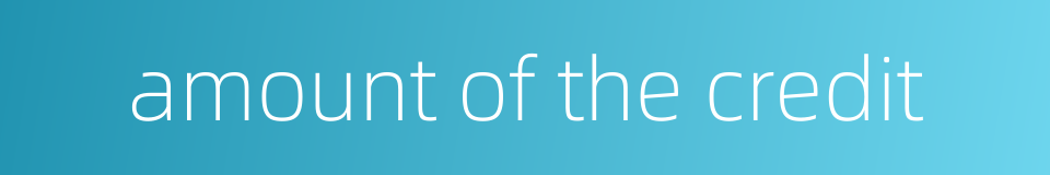 amount of the credit的同义词