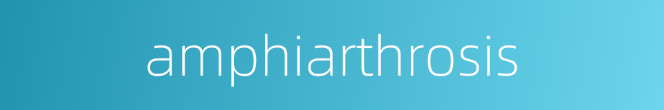 amphiarthrosis的同义词