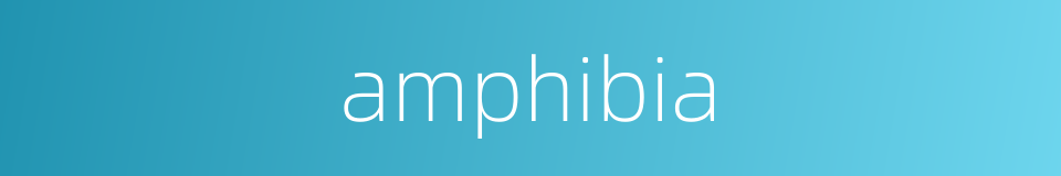 amphibia的同义词