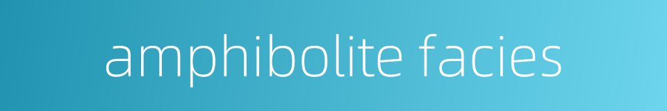amphibolite facies的同义词