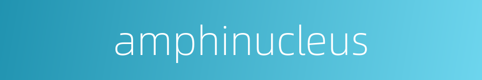 amphinucleus的同义词