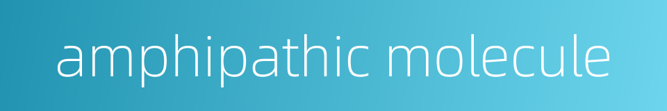 amphipathic molecule的同义词