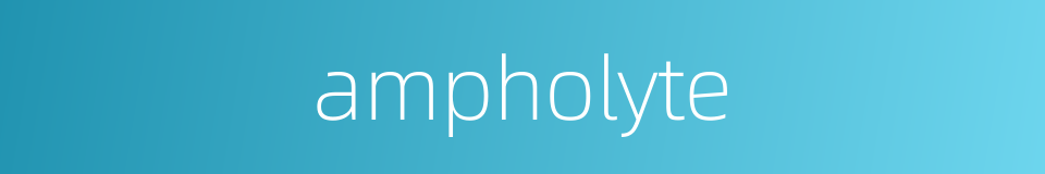 ampholyte的同义词