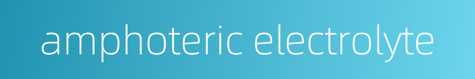 amphoteric electrolyte的同义词