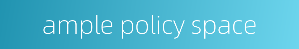 ample policy space的同义词