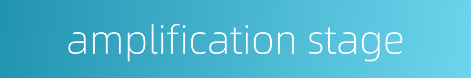 amplification stage的同义词