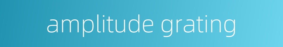 amplitude grating的同义词